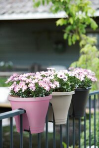 Elho corsica flower bridge 30cm - afbeelding 3