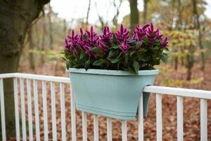 Elho corsica flower bridge 60cm - afbeelding 3