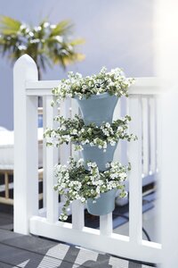 Elho corsica vertical forest 24cm set/3 - afbeelding 7