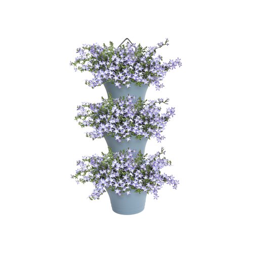 Elho corsica vertical forest 24cm set/3 - afbeelding 2