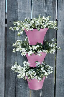 Elho corsica vertical forest 24cm set/3 - afbeelding 5