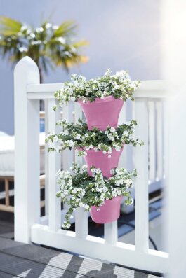 Elho corsica vertical forest 24cm set/3 - afbeelding 4