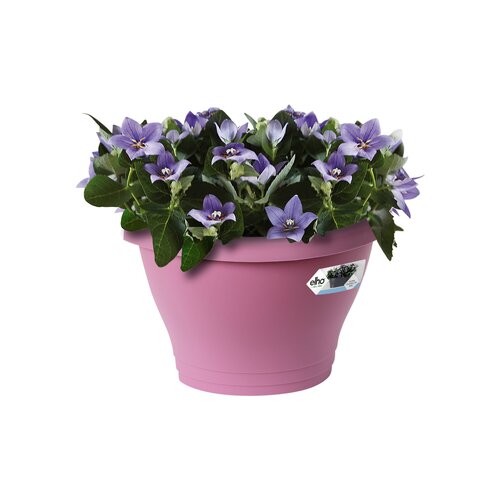 Elho corsica wandbak 25cm - afbeelding 2