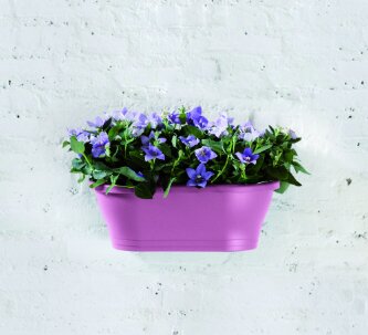 Elho corsica wandbak 39cm - afbeelding 4