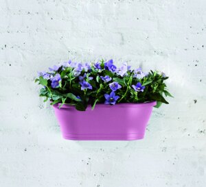 Elho corsica wandbak 39cm - afbeelding 4