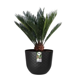 Elho fuente grains rond 30cm - afbeelding 2
