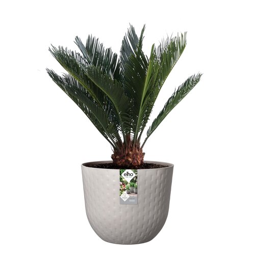 Elho fuente grains rond 38cm - afbeelding 2