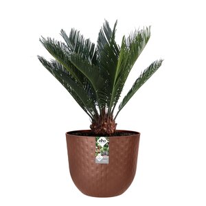 Elho fuente grains rond 47cm - afbeelding 2