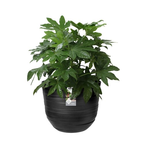Elho fuente rings rond 47cm - afbeelding 2