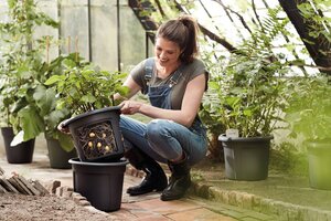 Elho green basics aardappel pot 33cm living black - afbeelding 4