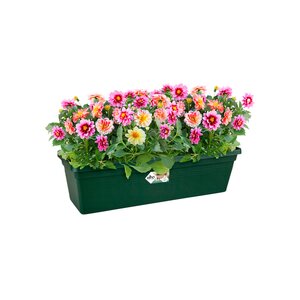 Elho green basics balkonbak 80cm blad groen - afbeelding 2
