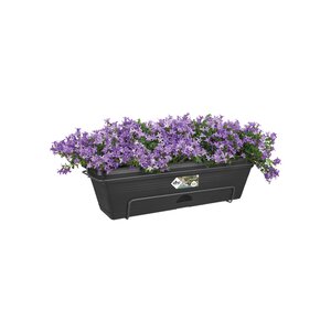 Elho green basics balkonbak allin1 50cm living black - afbeelding 2
