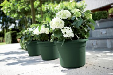 Elho green basics cilinder 25cm - afbeelding 3