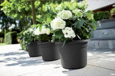 Elho green basics cilinder 25cm - afbeelding 3