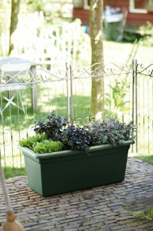 Elho green basics garden xxl 60cm - afbeelding 3