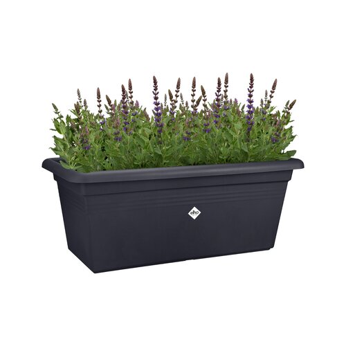 Elho green basics garden xxl 60cm living black - afbeelding 2