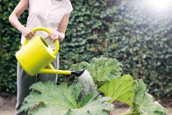 Elho green basics gieter 10ltr - afbeelding 2