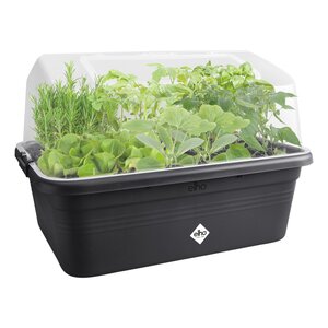 Elho green basics grow garden kweekhuis l transparant - afbeelding 2