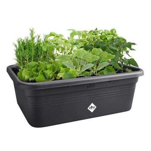 Elho green basics grow garden l living black - afbeelding 2