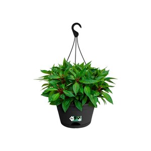 Elho green basics hangschaal 28cm living black - afbeelding 2