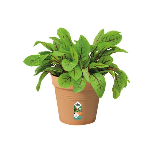 Elho green basics kweekpot 13cm mild terra - afbeelding 2