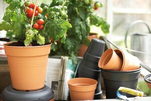 Elho green basics kweekpot 15cm mild terra - afbeelding 5