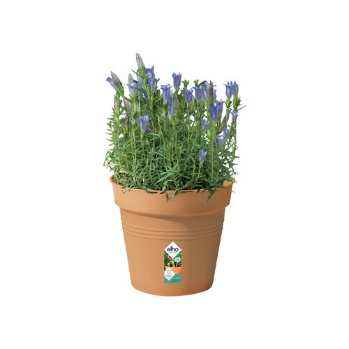 Elho green basics kweekpot 17cm mild terra - afbeelding 2