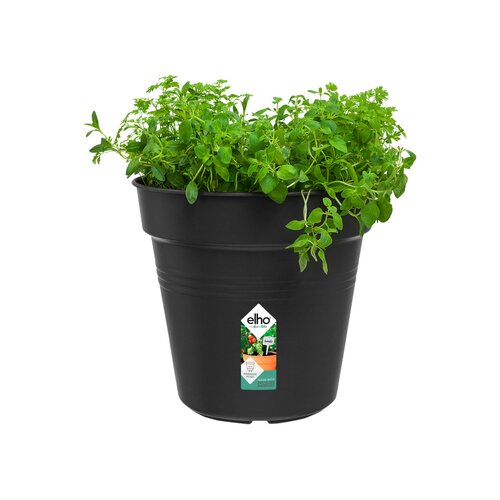 Elho green basics kweekpot 24cm living black - afbeelding 2