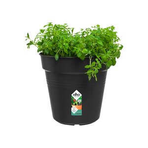 Elho green basics kweekpot 24cm living black - afbeelding 2