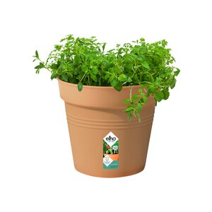 Elho green basics kweekpot 24cm mild terra - afbeelding 2