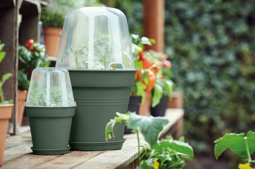 Elho green basics kweekpot 27cm blad groen - afbeelding 5
