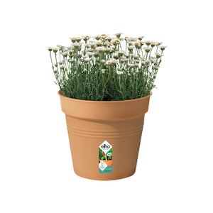 Elho green basics kweekpot 30cm mild terra - afbeelding 2