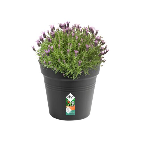 Elho green basics kweekpot 35cm living black - afbeelding 2