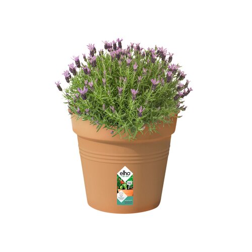 Elho green basics kweekpot 35cm mild terra - afbeelding 2