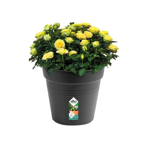 Elho green basics kweekpot 40cm living black - afbeelding 2