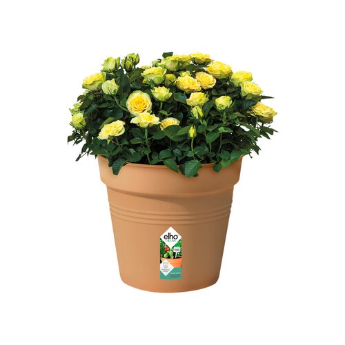 Elho green basics kweekpot 40cm mild terra - afbeelding 2