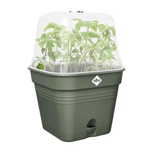 Elho Green Basics Kweekpot Vierk. Allin1 15 cm Groen - afbeelding 3