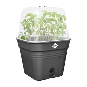 Elho Green Basics Kweekpot Vierk. Allin1 30 cm Zwart - afbeelding 2