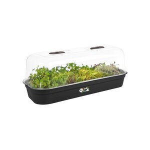 Elho green basics kweektray l living black - afbeelding 2