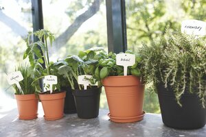 Elho green basics plantlabels s (set/5) - afbeelding 4