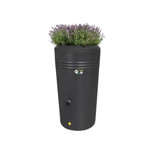 Elho Green Basics regenton met plantenbak zwart - 200 liter - afbeelding 2