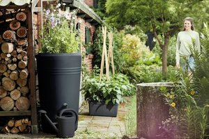 Elho Green Basics regenton met plantenbak zwart - 200 liter - afbeelding 5