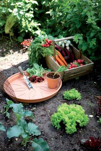 Elho green basics schotel 10cm mild terra - afbeelding 3