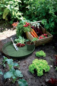 Elho green basics schotel 14cm blad groen - afbeelding 3