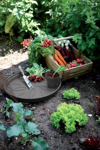 Elho green basics schotel 14cm living black - afbeelding 3
