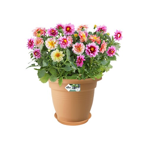 Elho green basics schotel 29cm mild terra - afbeelding 2