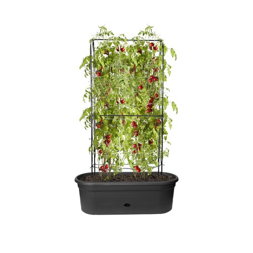 Elho green basics veggie wall 80cm - afbeelding 2