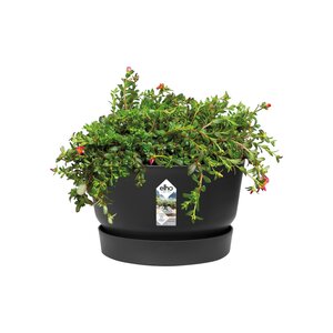 Elho greenville bowl 33cm living black - afbeelding 2
