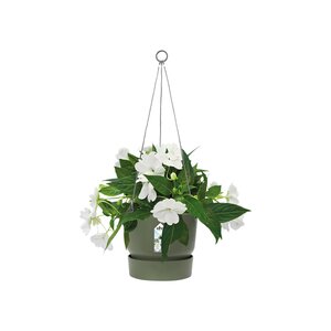 Elho greenville hanging basket 24cm blad groen - afbeelding 2