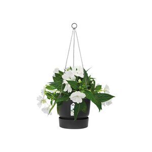 Elho greenville hanging basket 24cm living black - afbeelding 2
